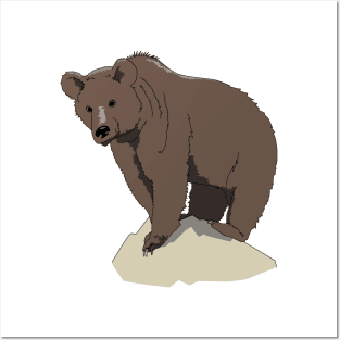 Brown bear Posters and Art